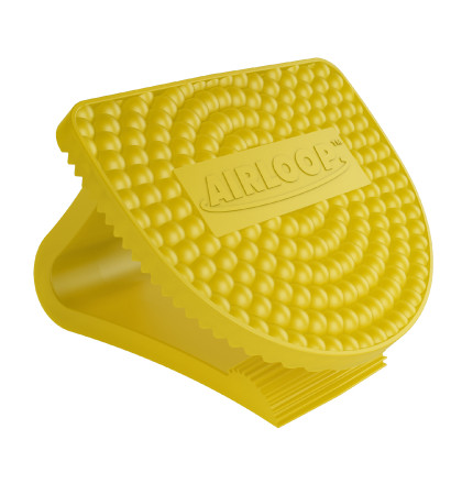 FCC-AIR-010 ENVIRO AIRLOOP - CITRUS MANGO x 10